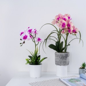 Todellinen kosketti keinotekoinen orkidea myytävänä