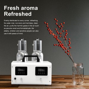 DW-8000BOUBLE ATOMING DOOMA AROMA Diffuser