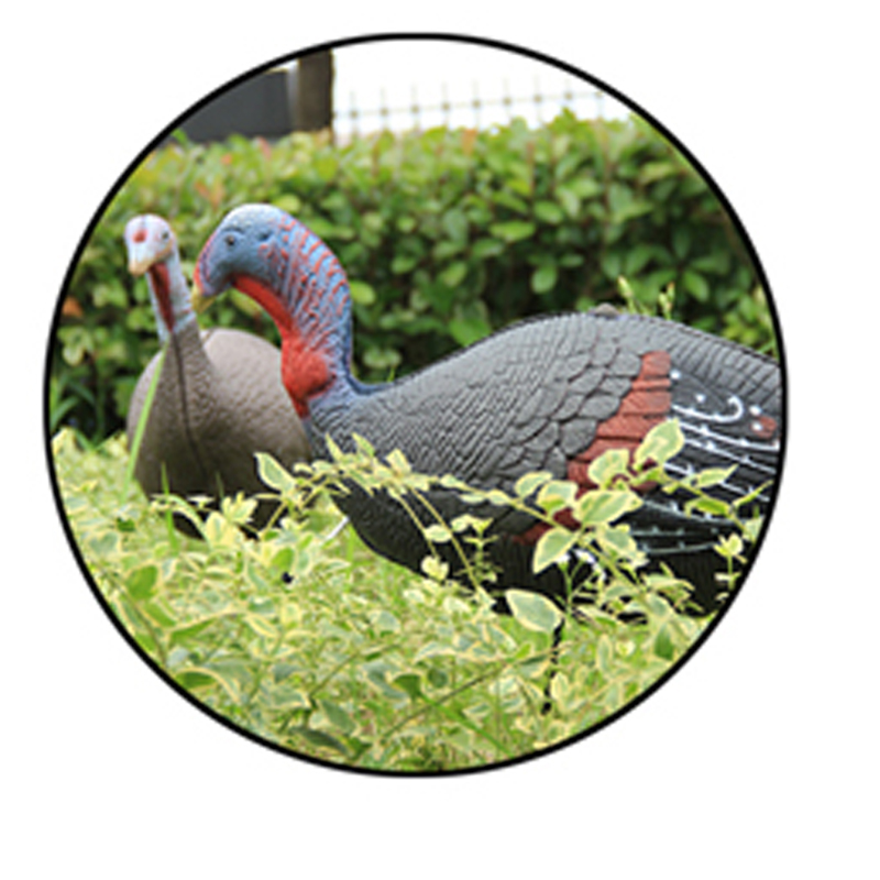 Onnellinen kiitospäivä