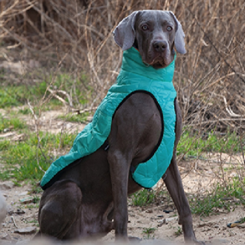 Amazon Hot Sale Uusi lemmikki vaatteet koiran vaatteet syksy ja talvi paksuuntunut joustava villapaita Pet villapaita