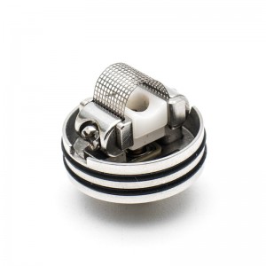 10PCS MESH Style Coils A1 0.10Ohm&ni80 0.10ohm Lämmityskiekka