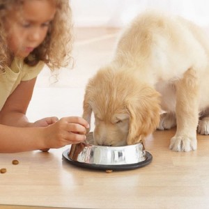 2022 Amazon Hot Sale -tuolimatto Hardwood Protection -sovelluksen läpinäkyvä PP -toimistopöytätuoli matto