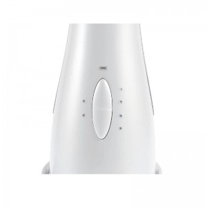 Basal Electric kasvohieronta