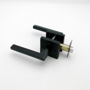 S7503 Privacy Door -vipu makuuhuoneen ja kylpyhuoneen ovet matta musta