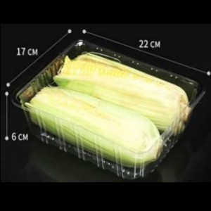 Ei kannen syvän tarjotin 220*170*60 mm Hgf-2217