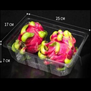 Ei kannen syvän tarjotin 260*180*70 mm Hgf-2517H7