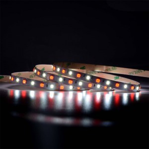 5050 60leds/m RGBW LED -nauha