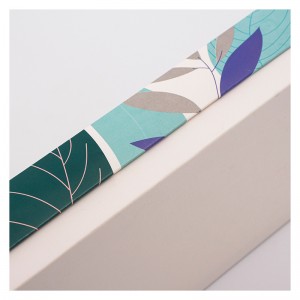 Hieno ikkunan avautuva lahjapakkaus