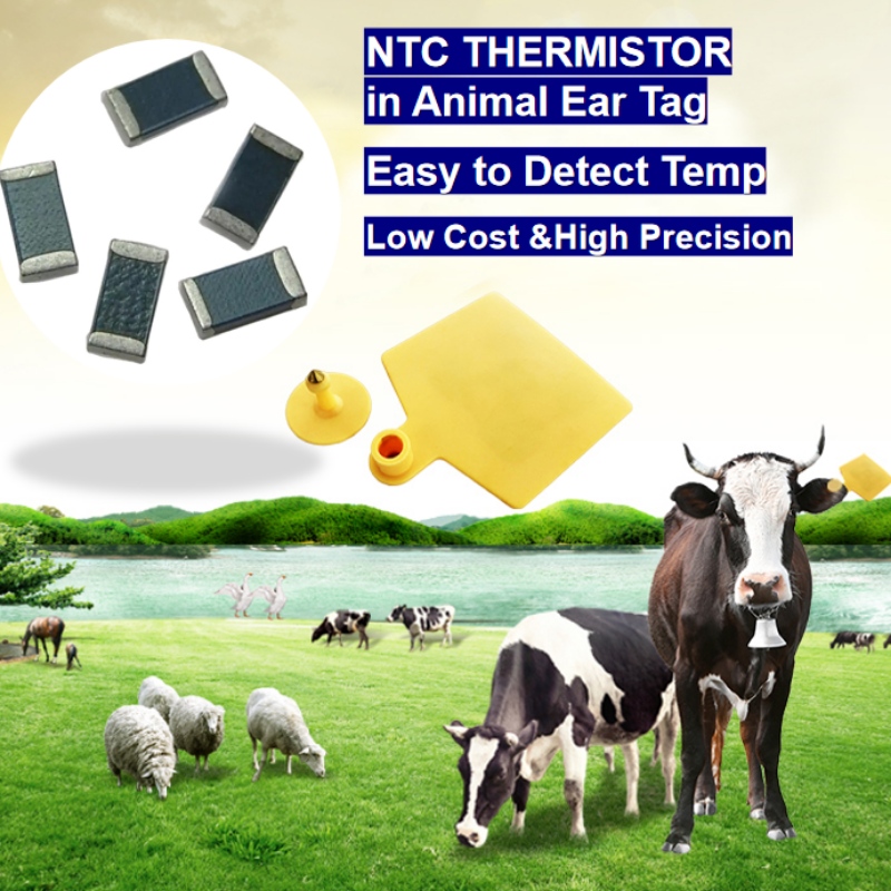 NTC -termistorilämpötila -anturi eläinkorvatunnissa älykäs jalostus