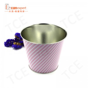 TCE-Wholesale Custom Printed Gift Tin Can Cand Paken