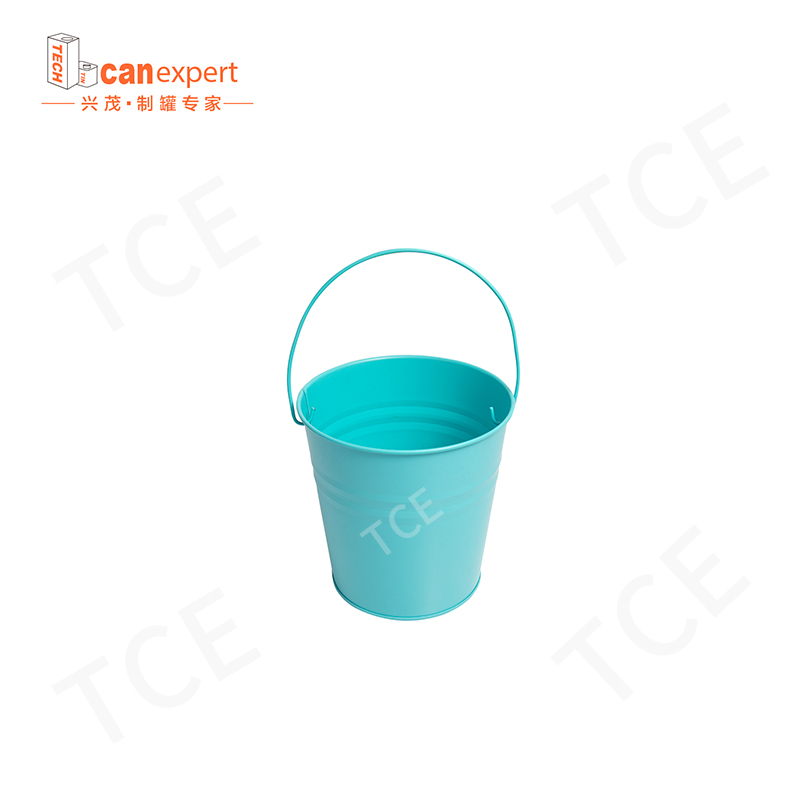 TCE-Wholesale Custom Printed Gift Tin Can Cand Paken