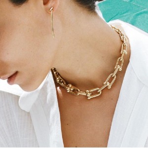 Paksu ketjun kaulakoru Naisten Eurooppa ja Yhdysvallat Ins Light Luxury Niche Horseshoe Solkle -kaulusketju