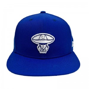 Uusi hattu, joka myy tukkumyynnin kuuma tuotemerkki varustettu hattu 6 paneeli hip hop snapback cap
