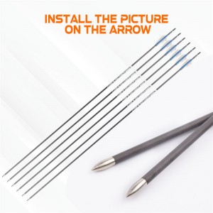 100 vilja -insert -luodinpiste ID4.2 mm hiili -nuolille