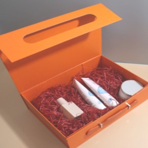 Kannettava monitoimipakkauslaatikko