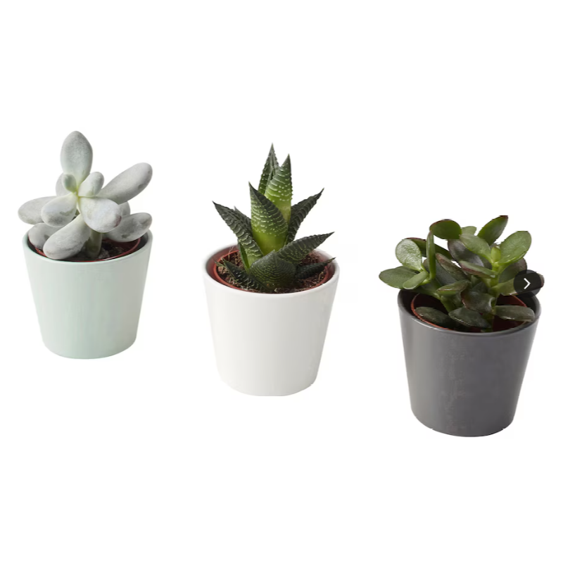 Keinotekoiset mehikasvit