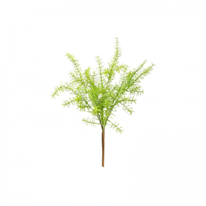 Keinotekoinen merilevä saniainen