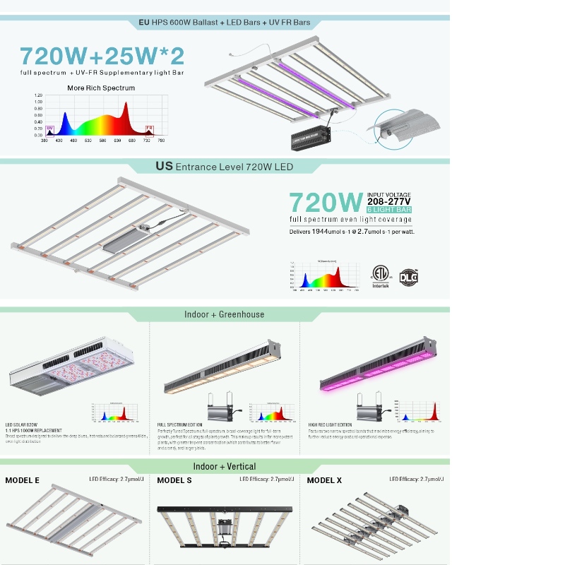 1703588467.jpg 2.jpg