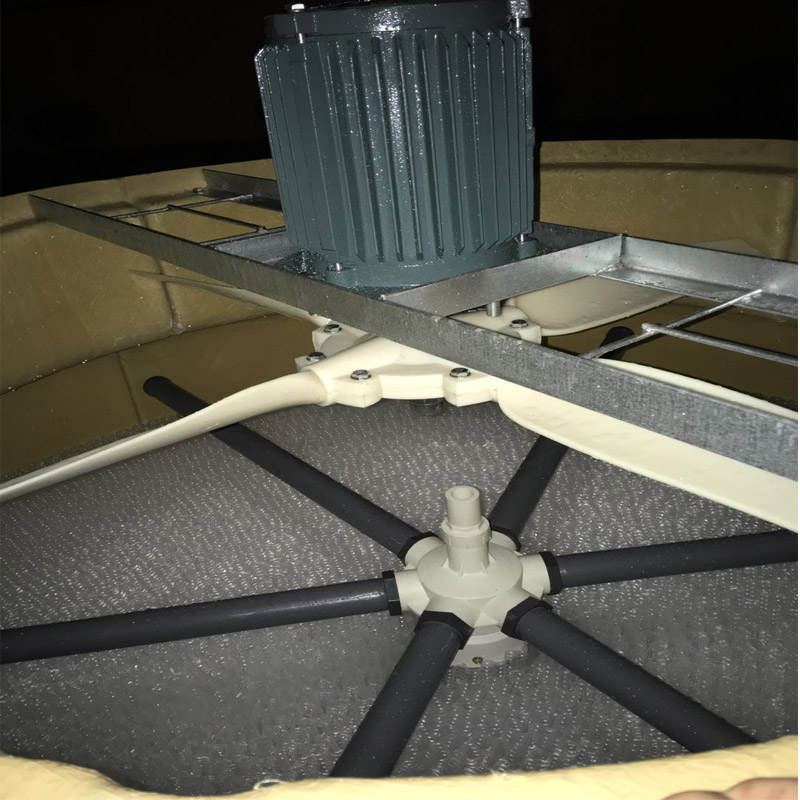 1591230397.jpg 24.jpg