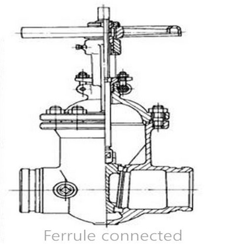 1591581631.jpg 4.jpg